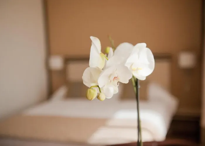 Ξενοδοχείο Check Τιμισοάρα